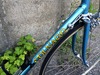 Colnago Mexico photo