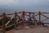 Colnago Red Master photo