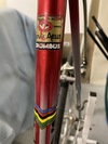 Colnago Saronni photo