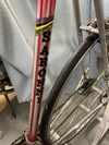 Colnago Saronni photo