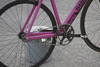 Colossi LowPro photo