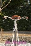 Customized urban bicycle photo