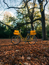 Deutsche Bundespost postal bicycle photo