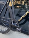 Dolan db1 prototype fixed gear carbon photo