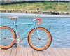 Fixie State Bicycle photo