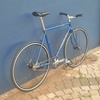 Gazelle Champion Mondial Campagnolo photo