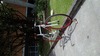 La Bici SS/Fixed Gear photo