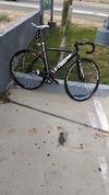 my visp trx999 photo