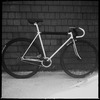 Njs vivalo photo