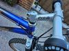 Panther Carbonare Mountain Bike photo