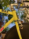 Pinarello TT MBK photo