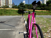 Pink Colossi photo