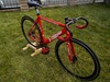 Red VISP photo