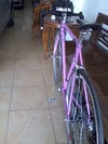 shimano pink photo