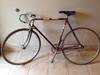 Shogun Steel Frame Fixie photo