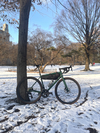 Specialized Aethos Pine Green photo