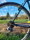 Specialized Crossroads photo