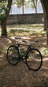 Specialized Langster Steel 2011 photo