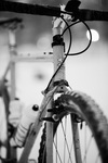 Surly Cross-Check photo