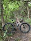 Surly ECR photo