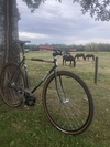 Surly Steamroller photo