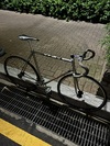 Uno Pista NJS photo