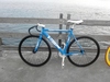 Visp Blue photo