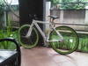 white-green & single speed PCO photo