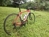 Wilier Triestina Lavaredo photo