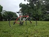 Wilier Triestina Lavaredo photo