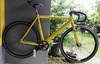 Yellow Soloist 77 photo